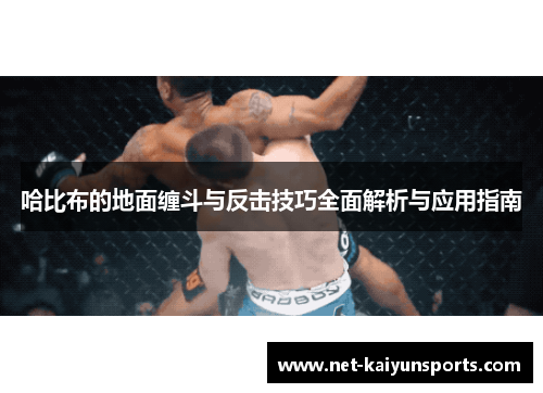 哈比布的地面缠斗与反击技巧全面解析与应用指南