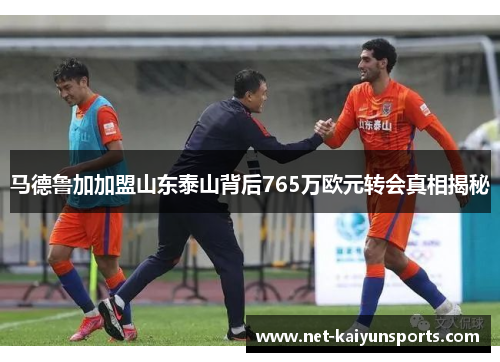 马德鲁加加盟山东泰山背后765万欧元转会真相揭秘 马德鲁加加盟山东泰山背后765万欧元转会真相揭秘