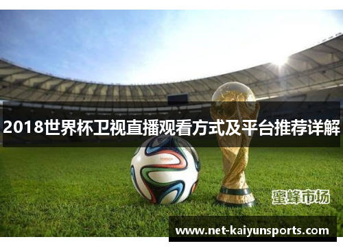 2018世界杯卫视直播观看方式及平台推荐详解 2018世界杯卫视直播观看方式及平台推荐详解